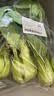 上海青约500g(油菜) 实拍图