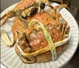 【活蟹】湖鲜阳澄 大闸蟹 去绳足重 全母蟹2.0-2.3两 8只 鲜活超大螃蟹生鲜水产礼盒装 实拍图