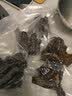 得力强封系列 家用真空封口机抽真空包装机塑封机 厨房食品保鲜干湿两用省力锁扣式一体密封机 LM998 实拍图