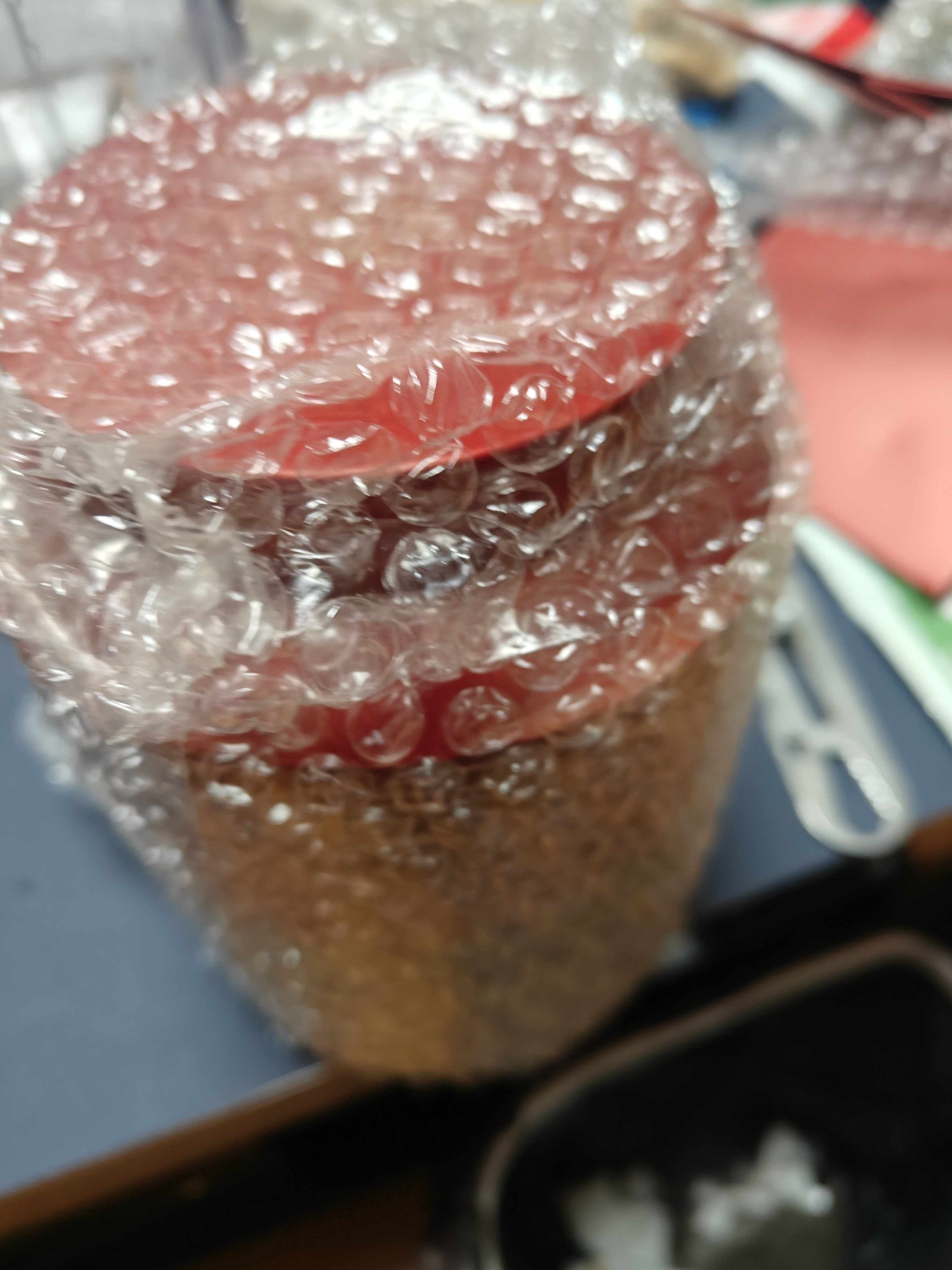 京东京造【新品】特级红茶金骏眉250g武夷山茶叶罐装高品质口粮茶 实拍图