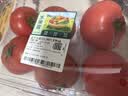 【水果菜】童年味道西红柿约1kg 实拍图