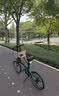 大行（DAHON）P8折叠自行车经典成人20英寸8速折叠车男女式运动单车KBC083 消光灰绿【JD定制版】 实拍图