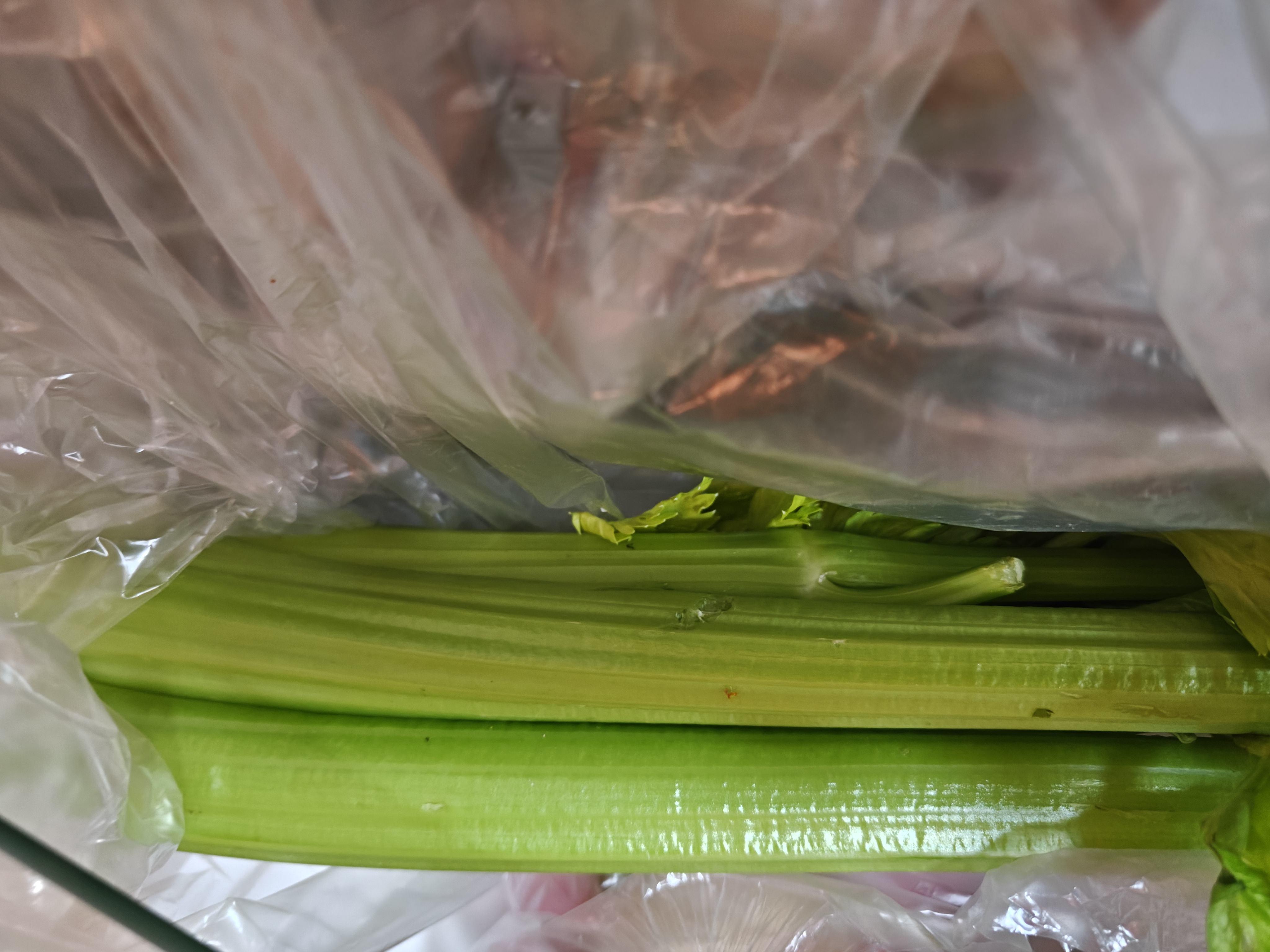 京地达山东水果西芹 净重3斤 榨汁芹菜蔬菜源头直发包邮 实拍图