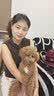 皇家狗粮 幼犬狗粮 宠物 小型犬 MIJ31 全价犬粮 2-10月 2KG 实拍图