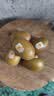 佳沛（zespri）新西兰金奇异果猕猴桃 5粒装 单果约88-103g 水果源头直发 实拍图