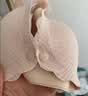 婧麒（JOYNCLEON）前开扣小贝壳哺乳内衣女薄款聚拢怀孕期产后喂奶睡觉孕妇文胸 少女肤-升级款 XL 实拍图