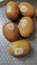 佳沛（zespri）新西兰金奇异果猕猴桃 5粒装 单果约88-103g 水果源头直发 实拍图