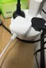 Apple/苹果 40W（至高60W） type-c快充充电器 苹果usb-c原装充电头 苹果iPhone 18 Pro Max充电器 实拍图