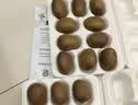 京觅&孙悟空陕西翠香绿心猕猴桃30粒单果60g+ 新鲜水果 源头直发 包邮 实拍图