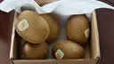 佳沛（zespri）新西兰金奇异果猕猴桃 5粒装 单果约88-103g 水果源头直发 实拍图