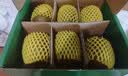 佳沛（zespri）新西兰阳光金奇异果6粒装88-103g猕猴桃水果水果礼盒 实拍图