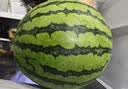 【冰镇】美都无籽麒麟西瓜1粒 约4.5kg 实拍图