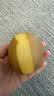佳沛（zespri）新西兰金奇异果10粒巨大果146-175g猕猴桃水果礼盒 实拍图