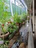 美益棵营养土养花通用型3L有机土盆栽兰花专用土多肉土壤种植花土泥炭 实拍图