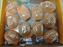 佳沛（zespri）新西兰金奇异果10粒巨大果146-175g猕猴桃水果礼盒 实拍图