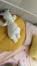 澳贝（auby）婴幼儿玩具小兔安抚巾宝宝哄睡神器阿贝贝新生儿玩偶毛绒手偶礼物 实拍图
