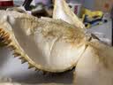 A级进口金枕鲜榴莲1粒约3kg(2-3kg) 实拍图