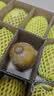 佳沛（zespri）新西兰金奇异果18粒优选果103-124g猕猴桃水果礼盒 实拍图