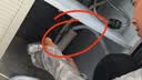 潜水艇（Submarine）洗衣机下水三通扫地机器人烘干机阳台下水面盆排水管地漏防臭接头 【02】洗衣机+面盆+烘干/扫地机 实拍图