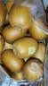 佳沛（zespri）新西兰金奇异果10粒巨大果146-175g猕猴桃水果礼盒 实拍图