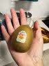 佳沛（zespri）新西兰金奇异果猕猴桃 5粒装 单果约88-103g 水果源头直发 实拍图