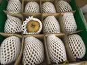 佳沛（zespri）新西兰金奇异果4粒103-114g猕猴桃源头直发水果礼盒 实拍图