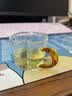 雅集苏窗锤纹品茶杯耐热主人杯喝茶杯品茶杯2只带把手杯加厚130ml 实拍图