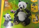 乐高（LEGO）积木31165 野生动物熊猫家族男女孩儿童玩具生日礼物 实拍图