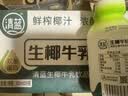 清蓝生椰牛乳300ml*8瓶鲜榨椰汁营养早餐奶动植物蛋白秋冬饮品饮料 实拍图