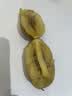 佳沛（zespri）新西兰金奇异果22粒巨大原箱146-175g猕猴桃水果礼盒 实拍图