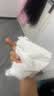 浪莎女士内裤女纯棉10A抑菌裆舒适透气中腰大码少女三角裤短裤头6条装 实拍图