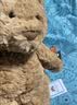 Jellycat巴塞罗熊动物毛绒玩偶儿童安抚公仔小熊潮玩送礼生日新婚礼物 巴塞罗熊 Medium 实拍图