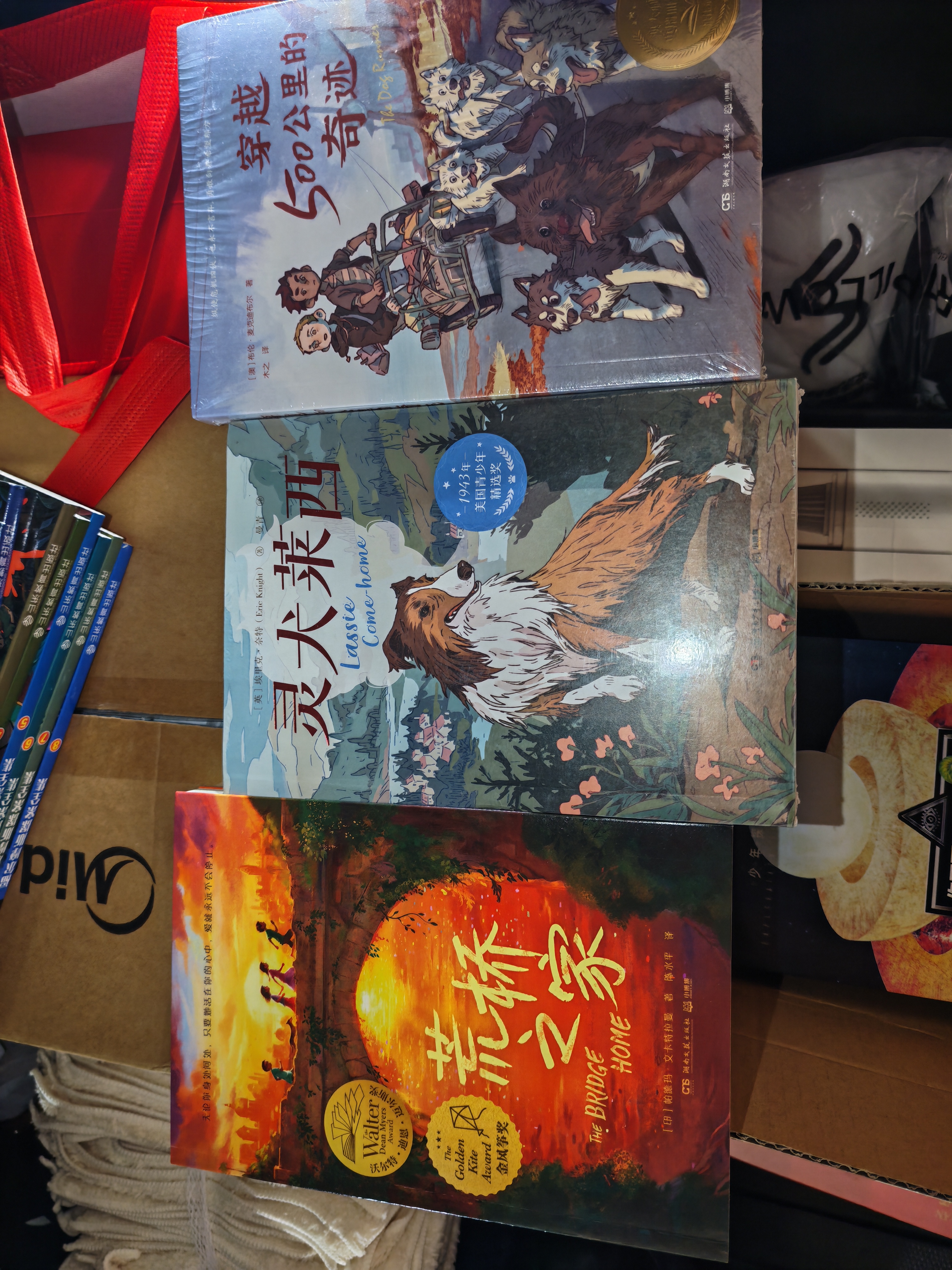 灵犬莱西国际大奖儿童文学读物小学生课外阅读书籍青少年儿童必读名著故事书童书暑期阅读 暑假作业 必读书目 实拍图