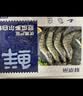 鲜京采 原装进口厄瓜多尔白虾 净重3.3斤 大号30-40规格 50-66只/盒 实拍图