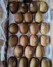 佳沛（zespri）金奇异果25-27粒原箱特大果124-146g猕猴桃水果礼盒 实拍图