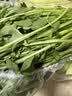 【水果菜】芝麻菜150g 实拍图