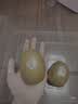 佳沛（zespri）新西兰金奇异果22粒巨大原箱146-175g猕猴桃水果礼盒 实拍图