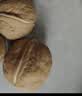 新边界（new boundaries）新疆薄皮核桃1500g 新货阿克苏特产原味坚果非特级纸皮 实拍图
