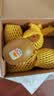 佳沛（zespri）新西兰金奇异果猕猴桃 5粒装 单果约88-103g 水果源头直发 实拍图