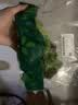 【烧烤季】钟灵山罗马生菜400g 实拍图