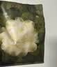 babycare爆款山茶花一次性内裤女士孕妇XXL码30条【 安全灭菌】 实拍图