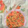 九洲丰园有机混合蔬菜丁500g   速冻蔬菜 冷冻生鲜杂菜沙拉菜半加工蔬菜粒 实拍图