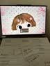 ThinkPad国家补贴15%联想笔记本电脑ThinkBook14+ 2026全能本 锐龙7 H 255 32G 1T 3K 14.5英寸高刷 月神灰 实拍图