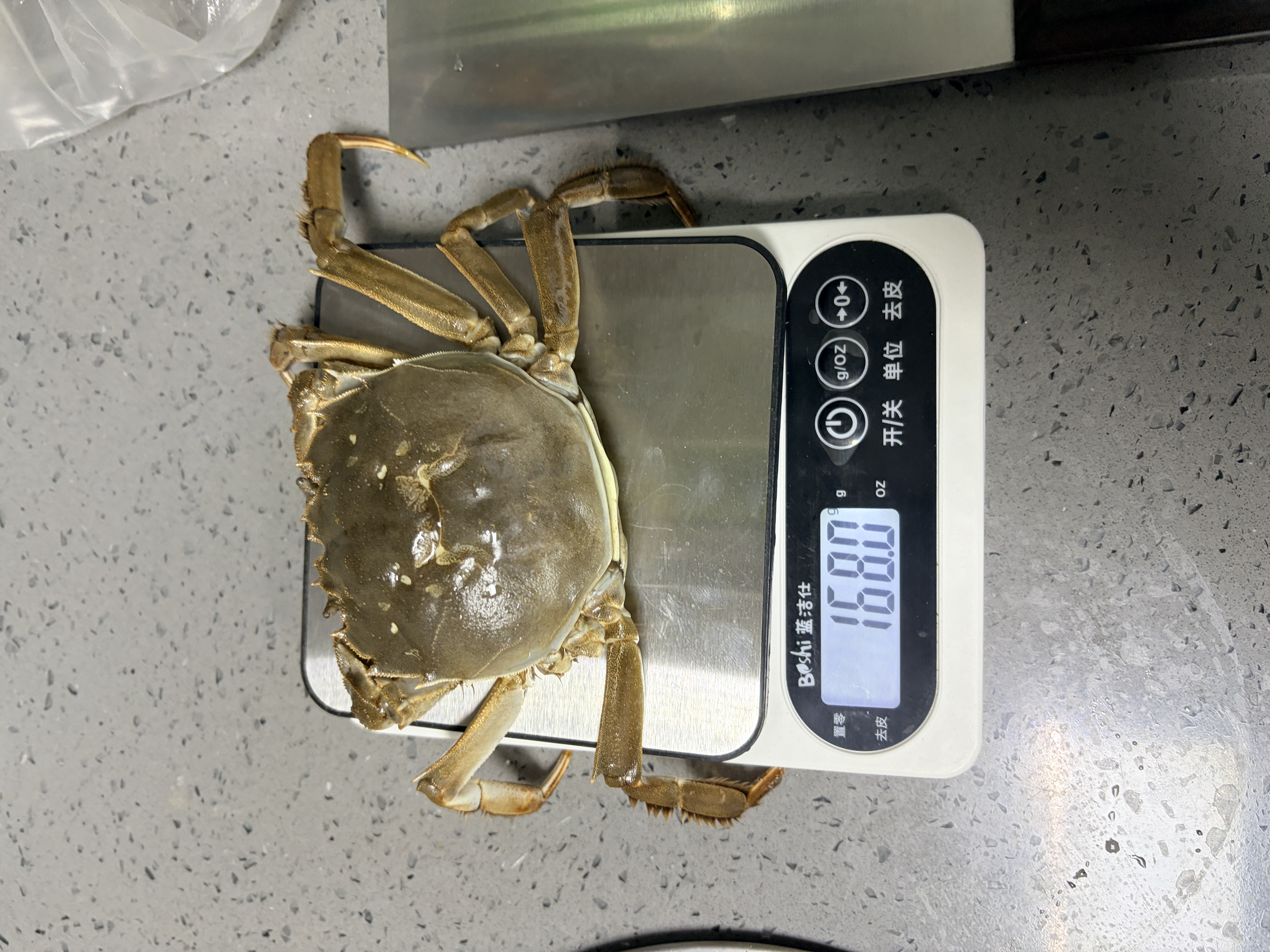 【活蟹】（残蟹）鲜活大闸蟹少腿蟹兴化大闸蟹断腿蟹泰州鲜活螃蟹 公4.4-4.7两 母3.4-3.7两 5对10只 实拍图