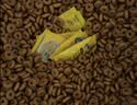 皇家猫粮 成猫猫粮 营养均衡 F32 通用粮 1-7岁 2KG 实拍图