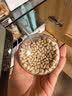 三只松鼠松子仁100g/罐 东北松子每日坚果果仁炒货休闲零食原味去壳非油炸 实拍图