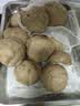 小熊（Bear）5L和面机家用 揉面机 厨师机 全自动打面搅面 面包面粉发酵醒面一体HMJ-A50N1 实拍图