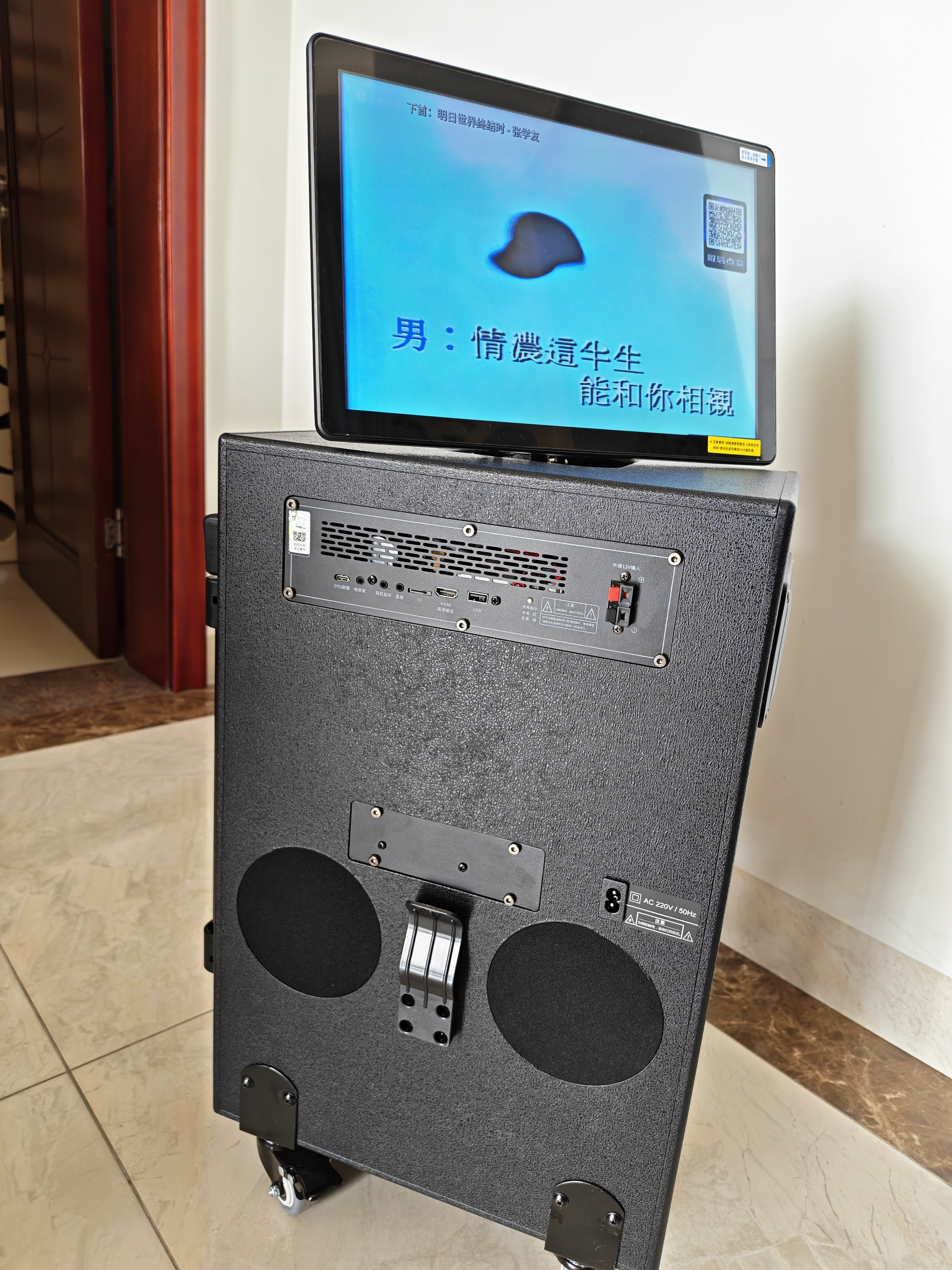 山水（SANSUI）TD128 双12吋广场舞音响带显示屏家庭ktv音响套装2026新款卡拉ok功放一体机户外K歌直播音箱视频机 实拍图