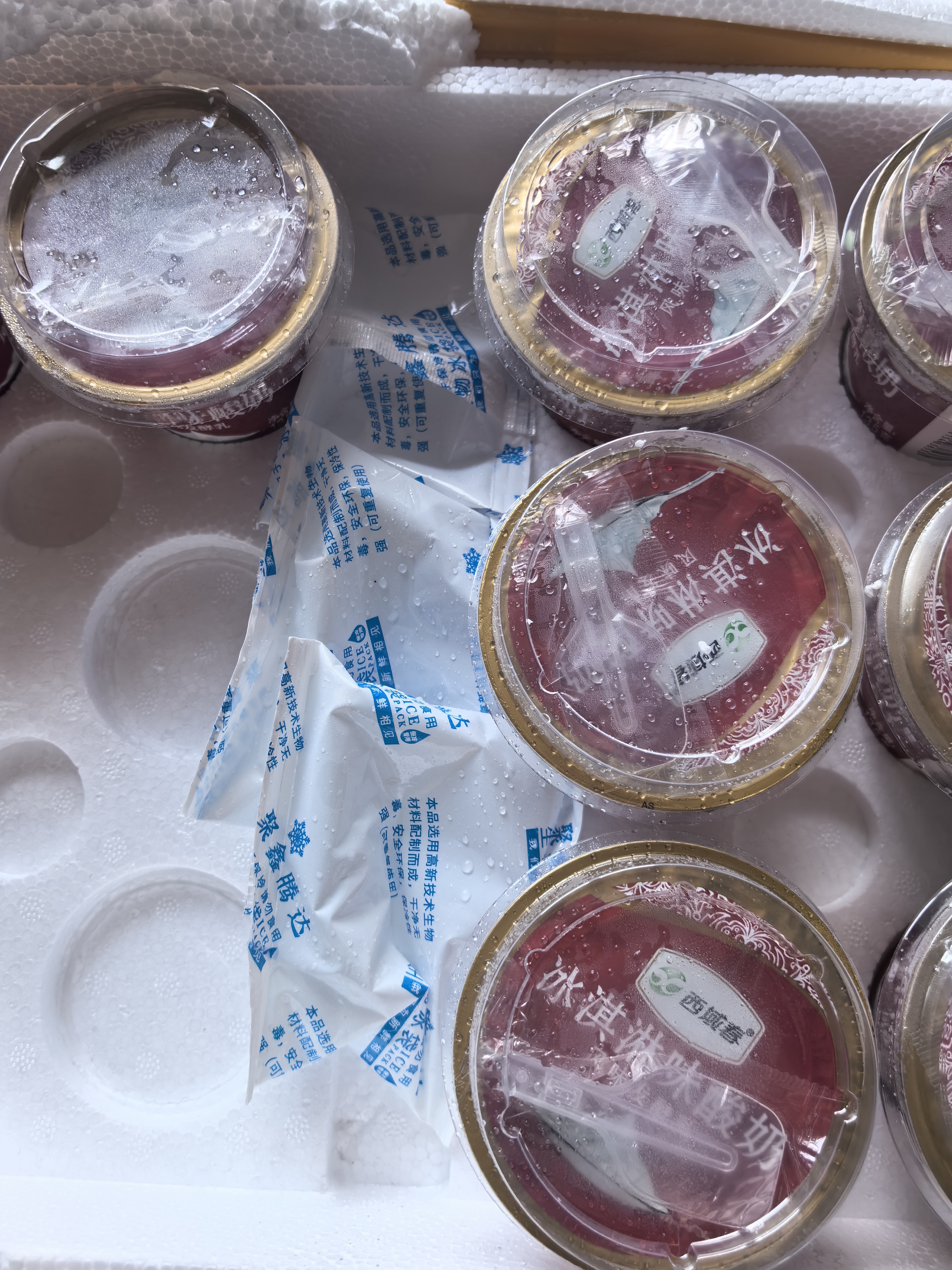 西域春酸奶大方桶新疆老酸奶低温全脂风味水果捞酸奶益生菌生牛乳发酵乳 冰淇淋酸奶135g*12杯 保温箱发/新老包装随机 实拍图