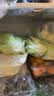 罗马生菜约500g 实拍图